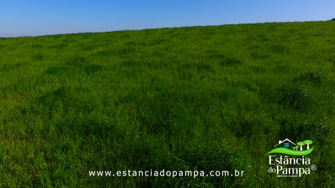 DOS EÓLICOS VIRA P FAZENDA_Moment.00_00_37_21.Quadro168_25e1aa445d43ac0b8f72b70617c7e6bf8dfdbe5a.jpg